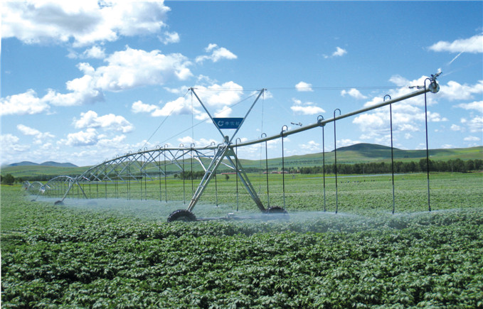 W020150511752909359743